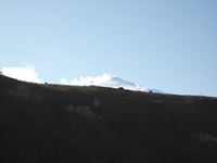 Monte Mojo